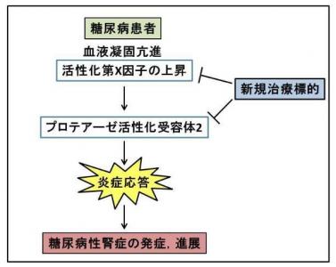 腎症