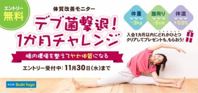 イルチブレインヨガ